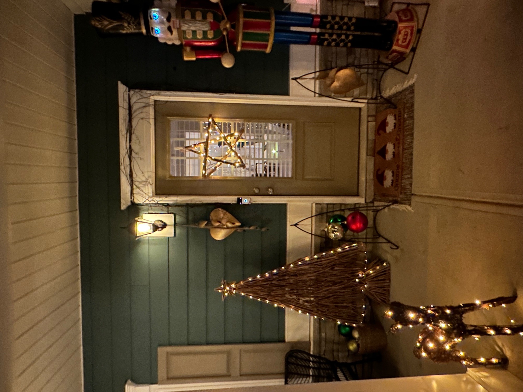 Terrain Lane, Christmas lights in Locust, NC (photo 3)