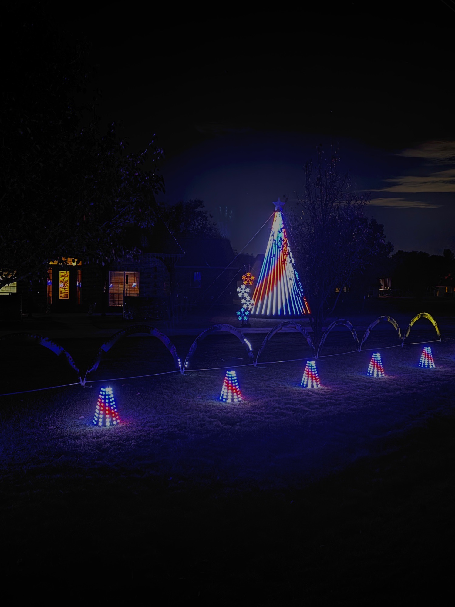 Lights on Black Champ, Christmas lights in Waxahachie, TX (photo 1)