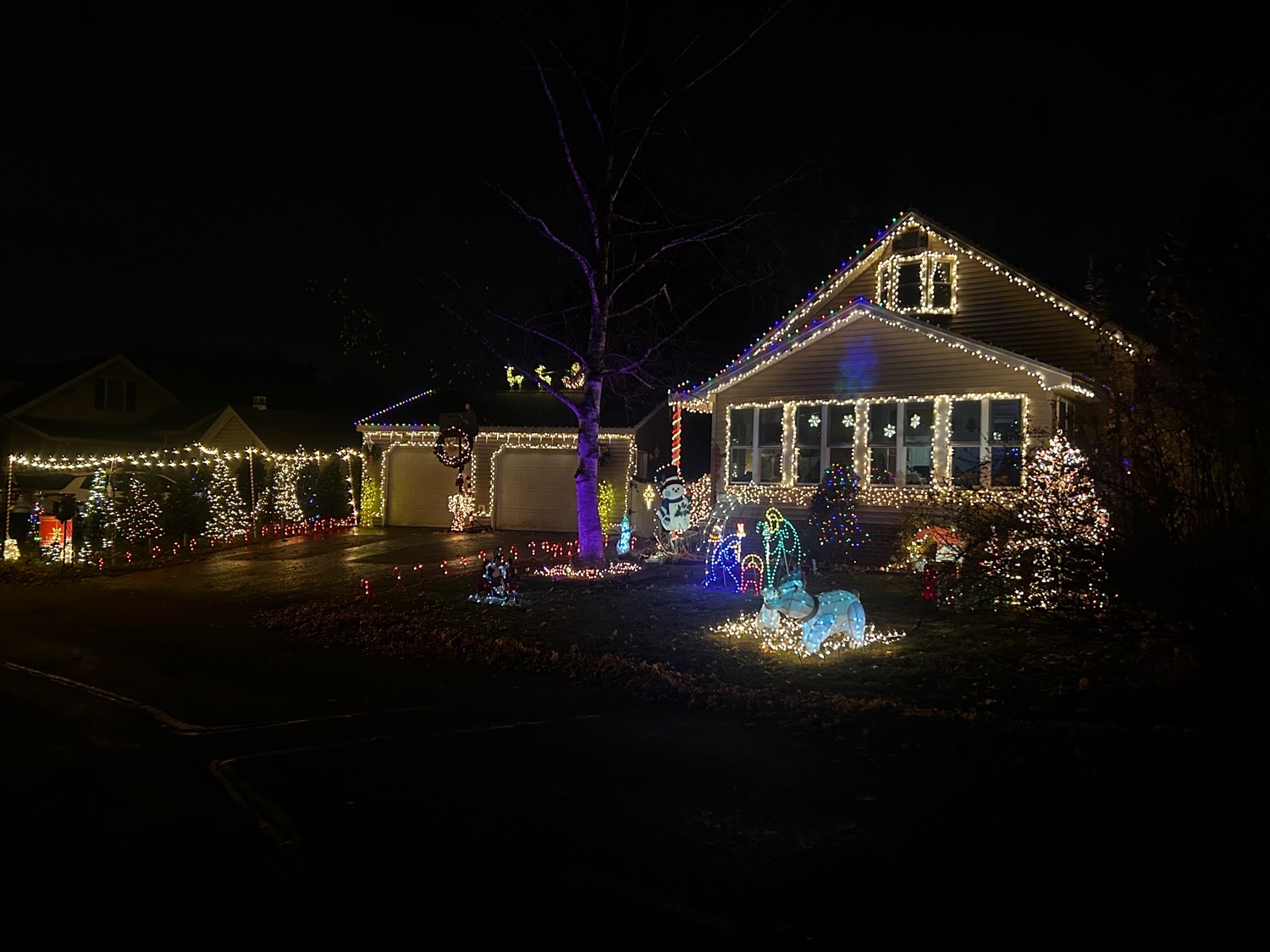 A classy Griswold, Christmas lights in Glenville, NY (photo 1)