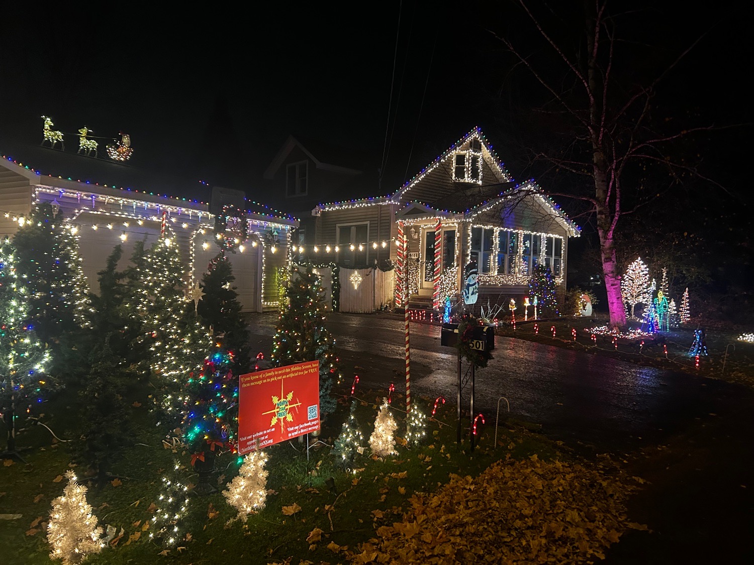 A classy Griswold, Christmas lights in Glenville, NY (photo 3)