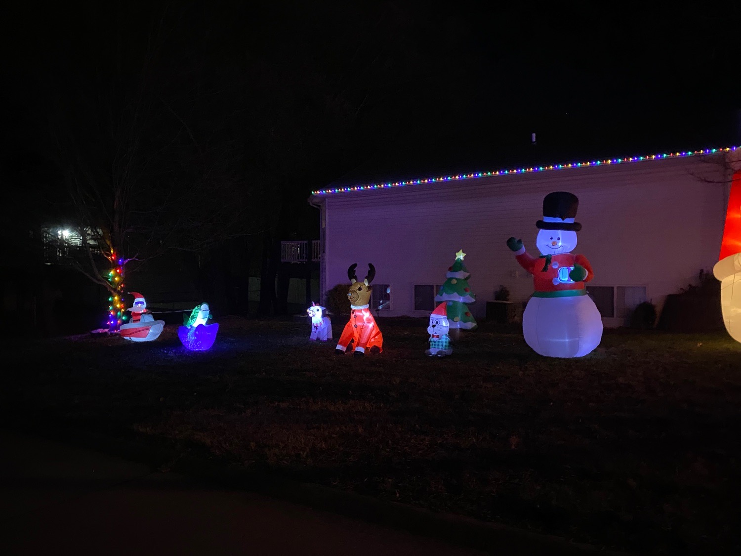 Seabaugh Residents, Christmas lights in Jackson, MO (photo 2)
