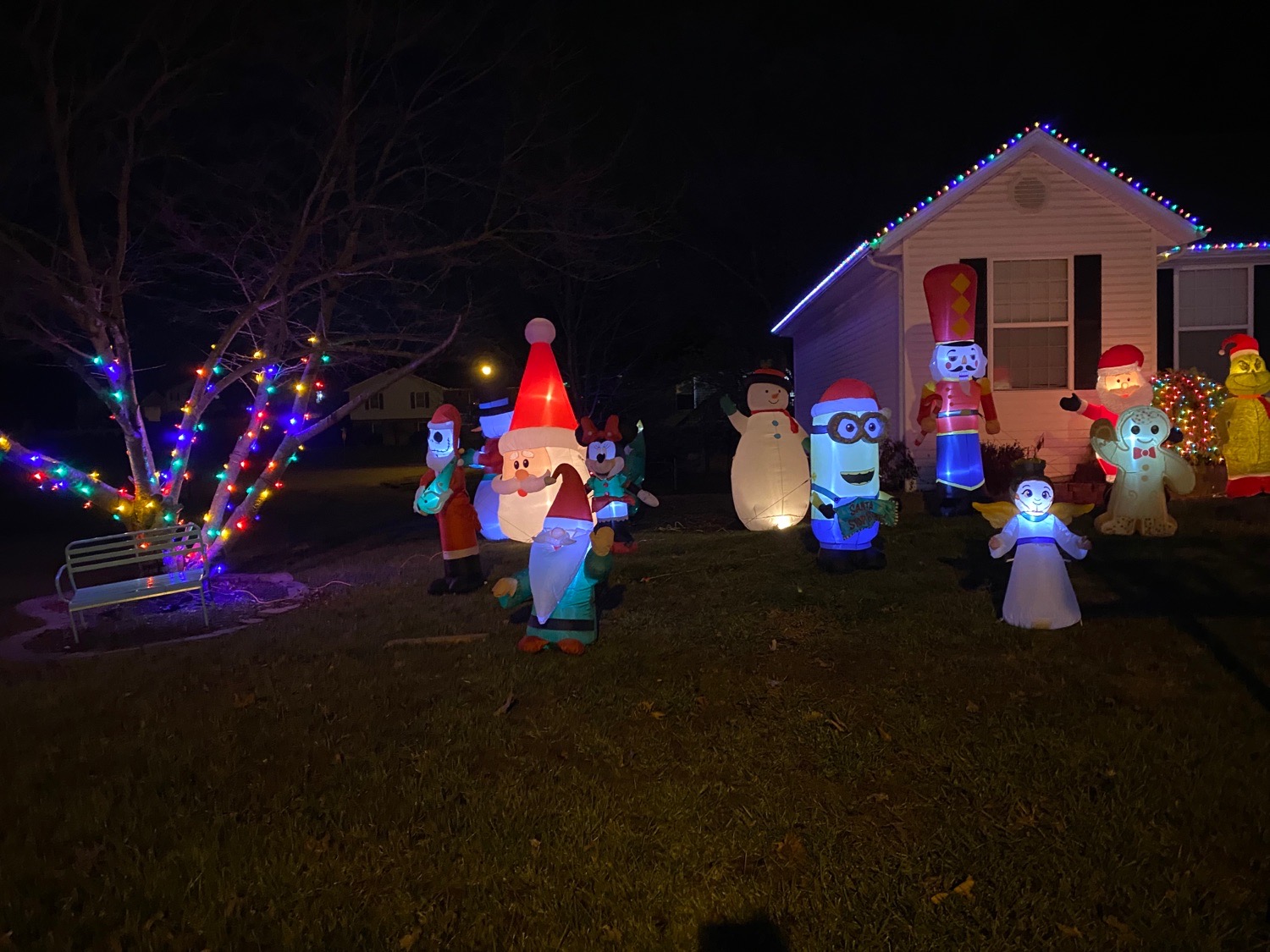 Seabaugh Residents, Christmas lights in Jackson, MO (photo 3)