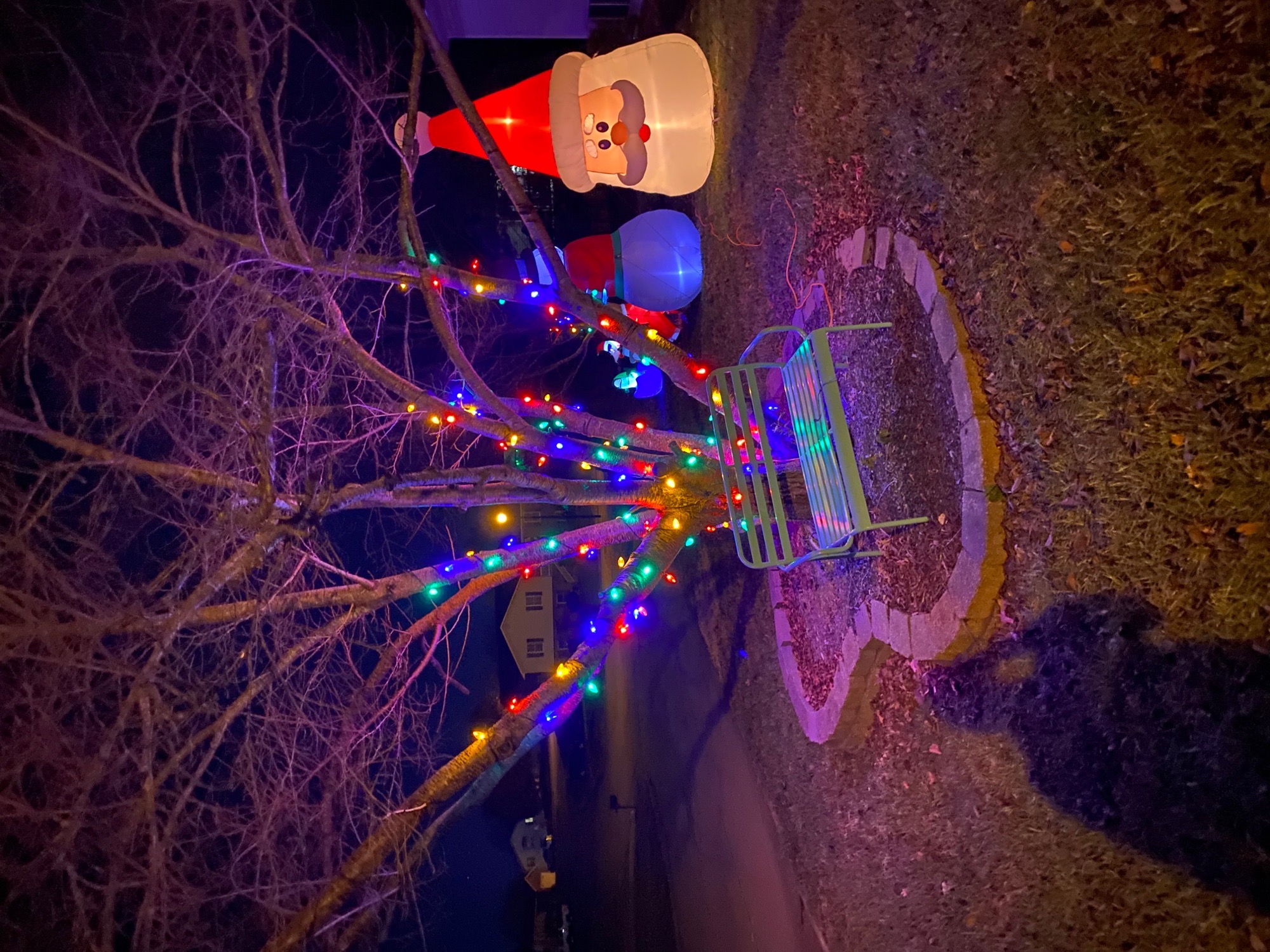 Seabaugh Residents, Christmas lights in Jackson, MO (photo 4)