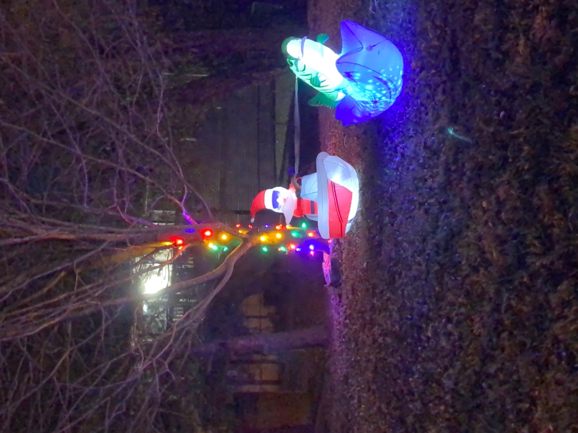 Seabaugh Residents, Christmas lights in Jackson, MO (photo 5)