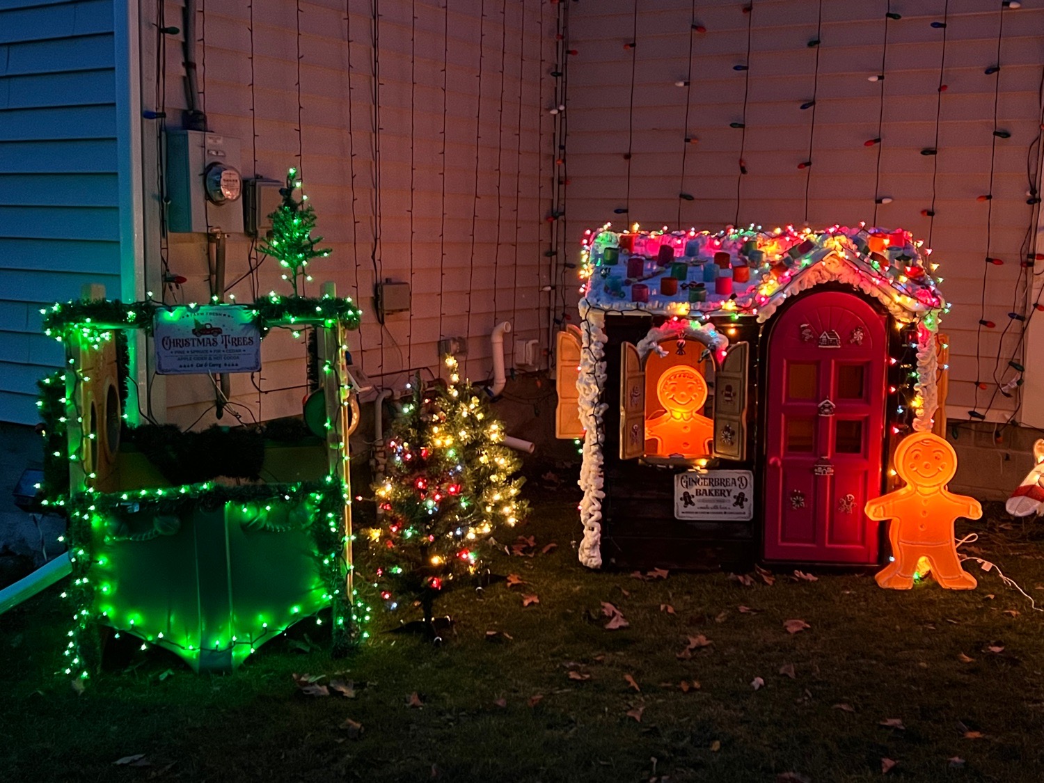 Payne Christmas Lights, Christmas lights in Arkport, NY (photo 3)