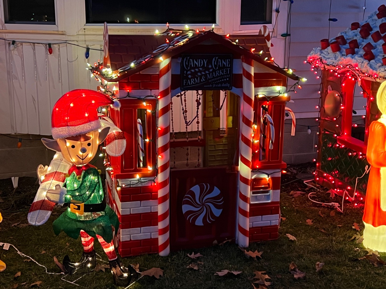 Payne Christmas Lights, Christmas lights in Arkport, NY (photo 2)