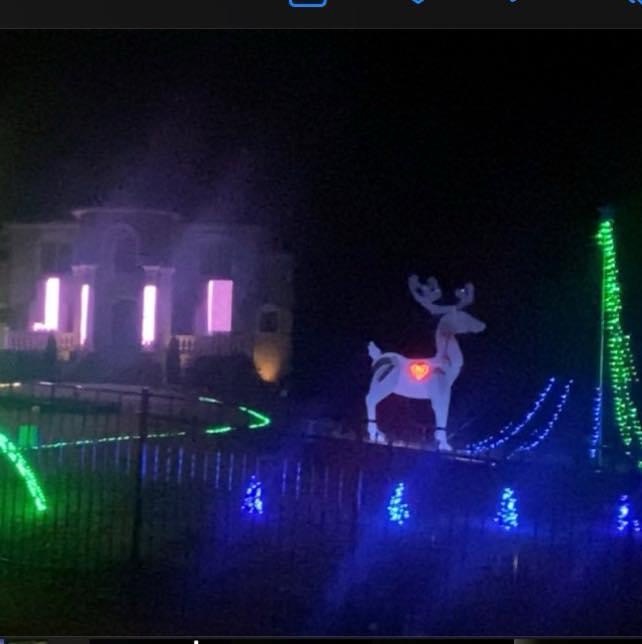 Gigantic deer synchronized Lightshow, Christmas lights in Stockbridge, GA (photo 1)