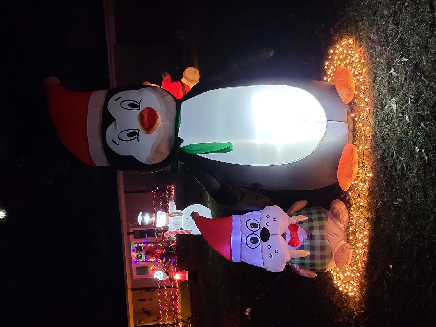 Tully House, Christmas lights in Woodbury, GA (photo 2)