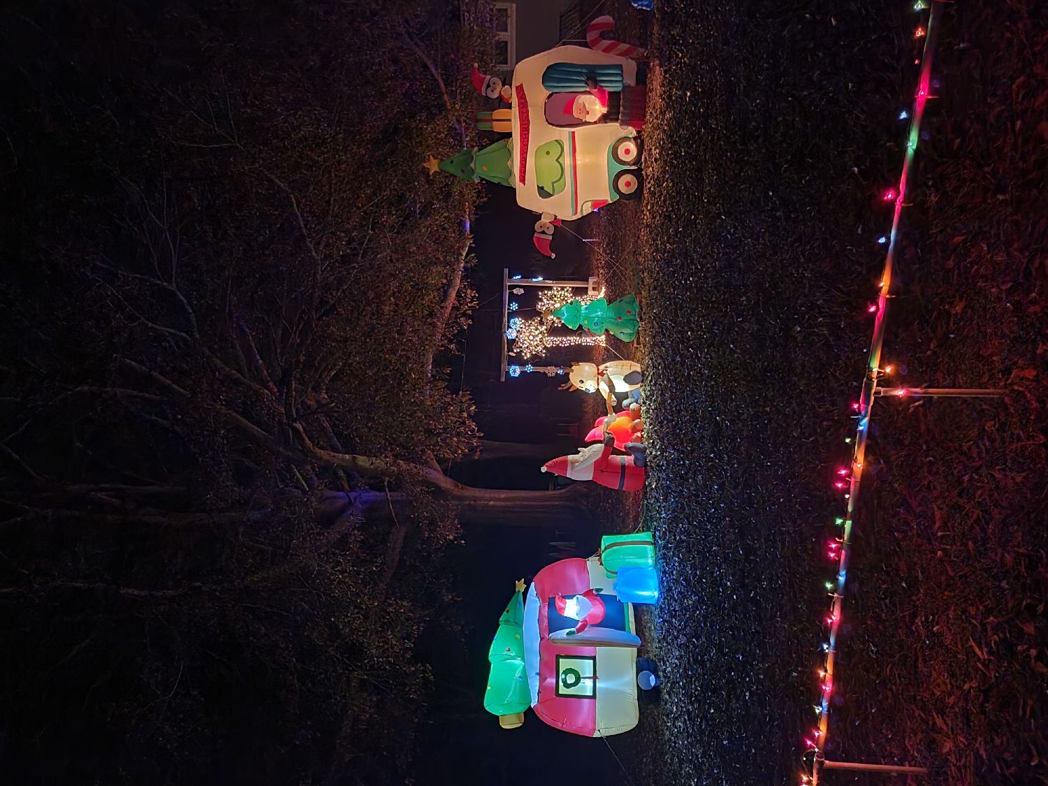 Tully House, Christmas lights in Woodbury, GA (photo 3)