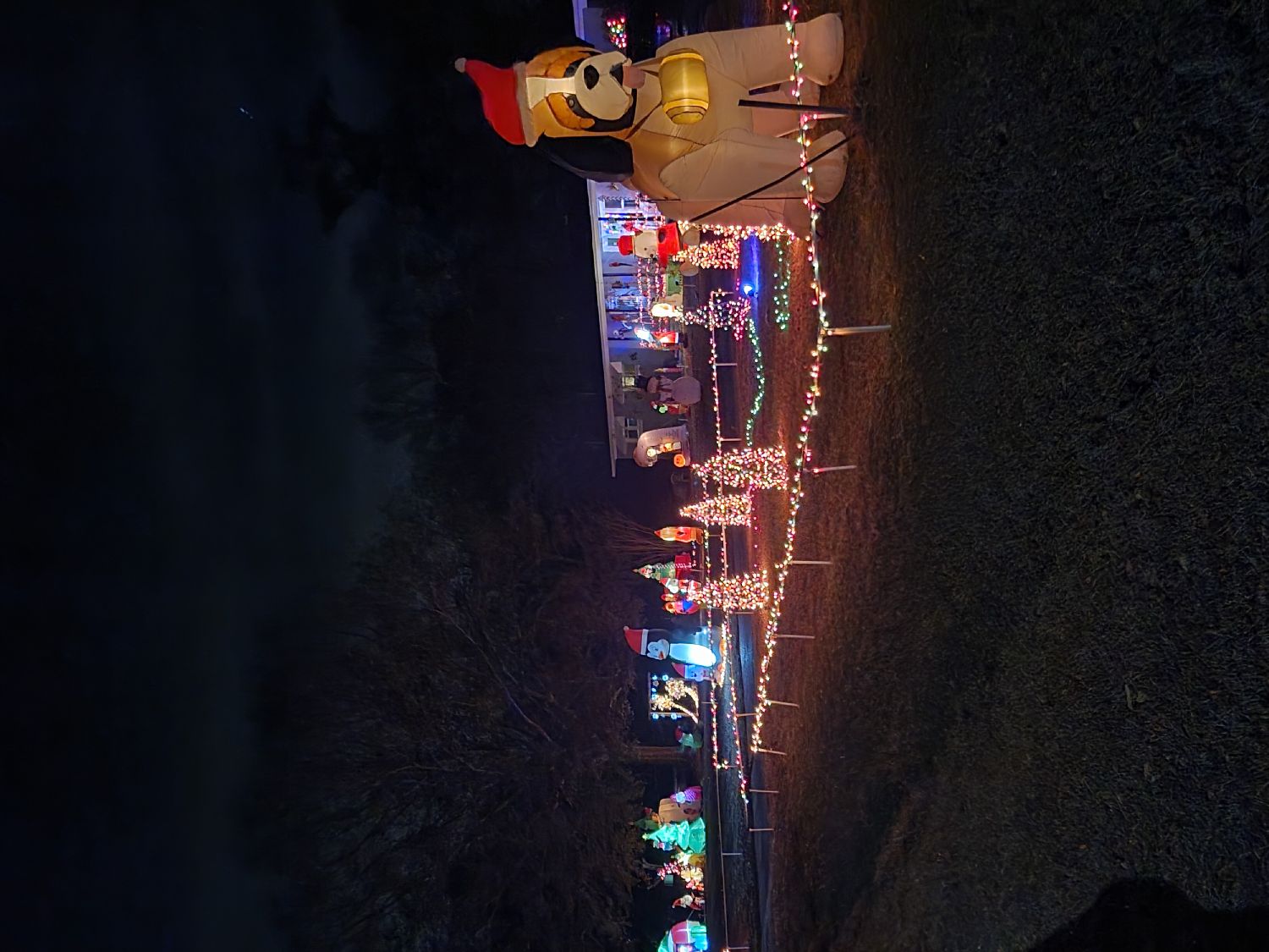 Tully House, Christmas lights in Woodbury, GA (photo 4)