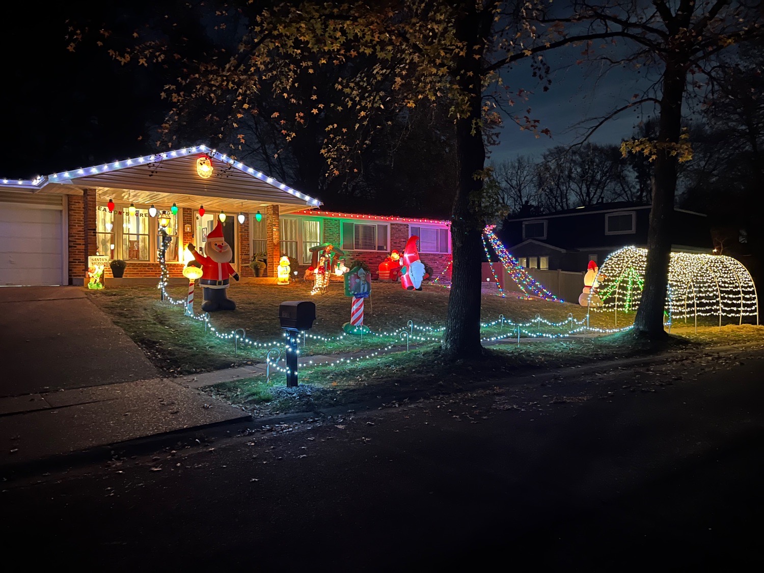 Small tunnel of lights, Christmas lights in Saint Louis, MO (photo 2)