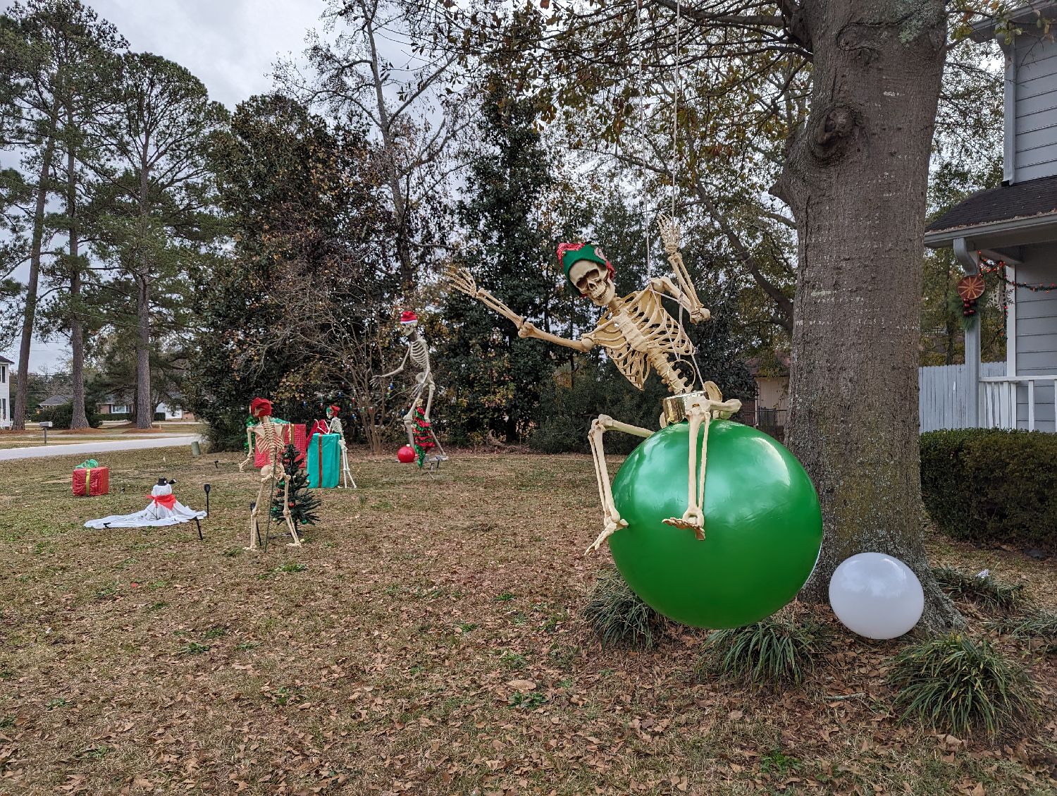 Skeleton Christmas, Christmas lights in Florence, SC (photo 1)