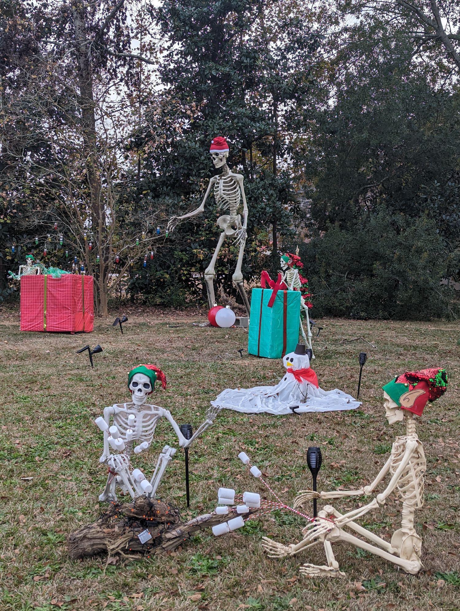 Skeleton Christmas, Christmas lights in Florence, SC (photo 2)