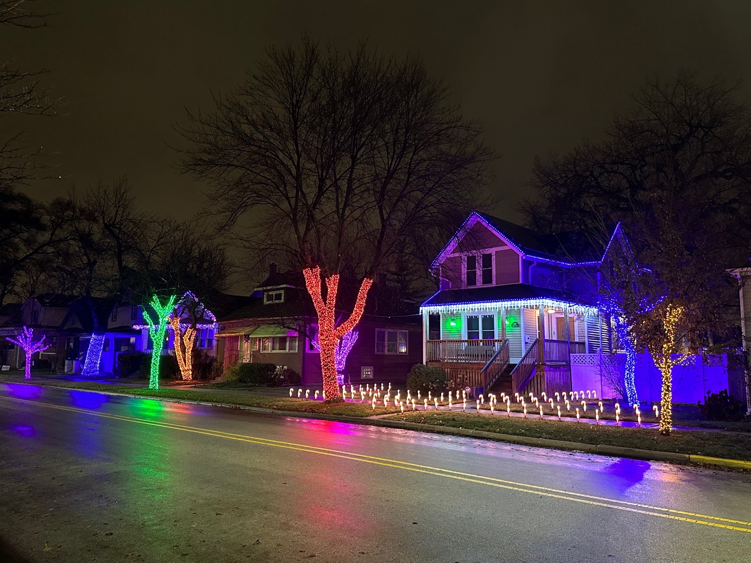 Beloit Ave Neighbors, Christmas lights in Forest Park, IL (photo 1)