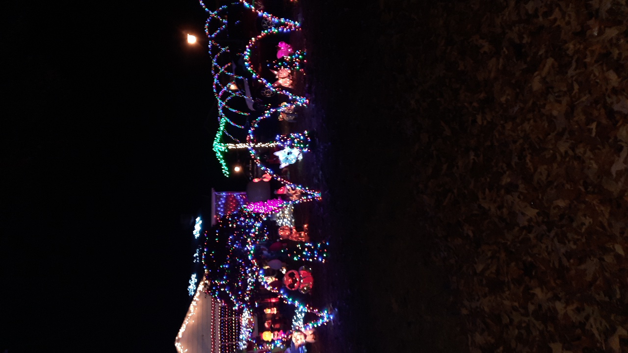 Ansley Rd, Christmas lights in Richmond, VA (photo 2)