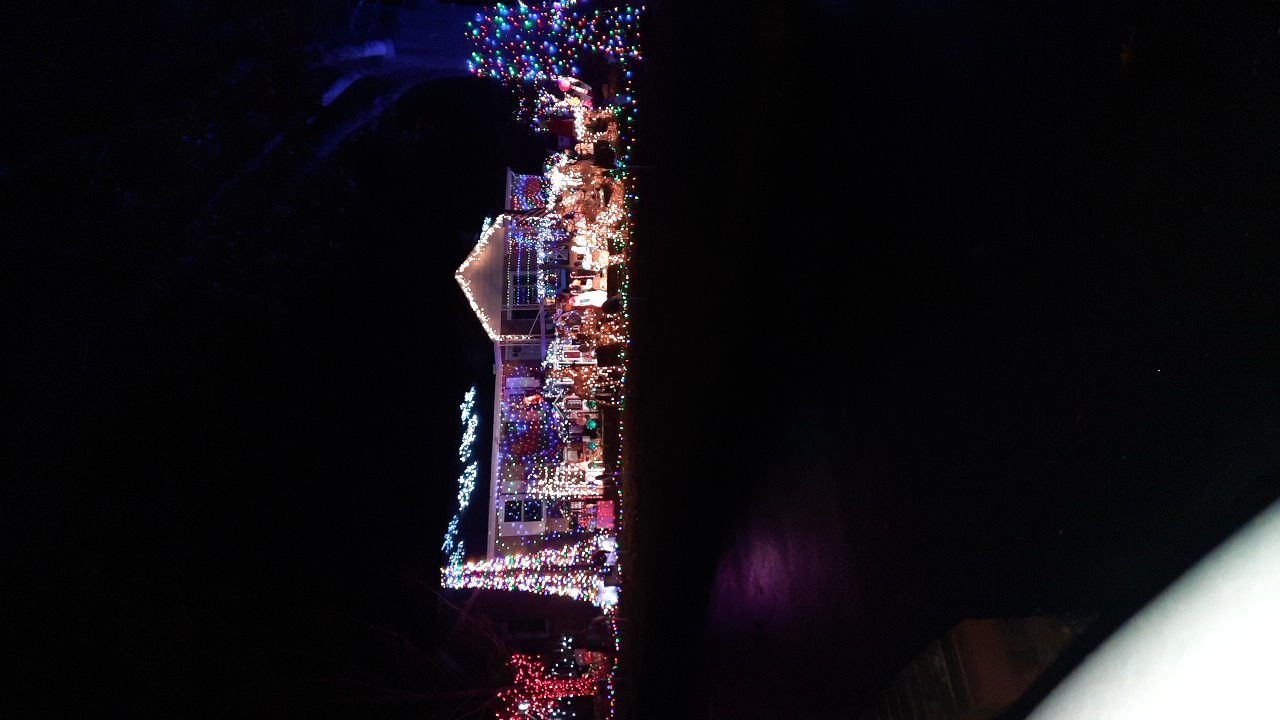 Ansley Rd, Christmas lights in Richmond, VA (photo 3)