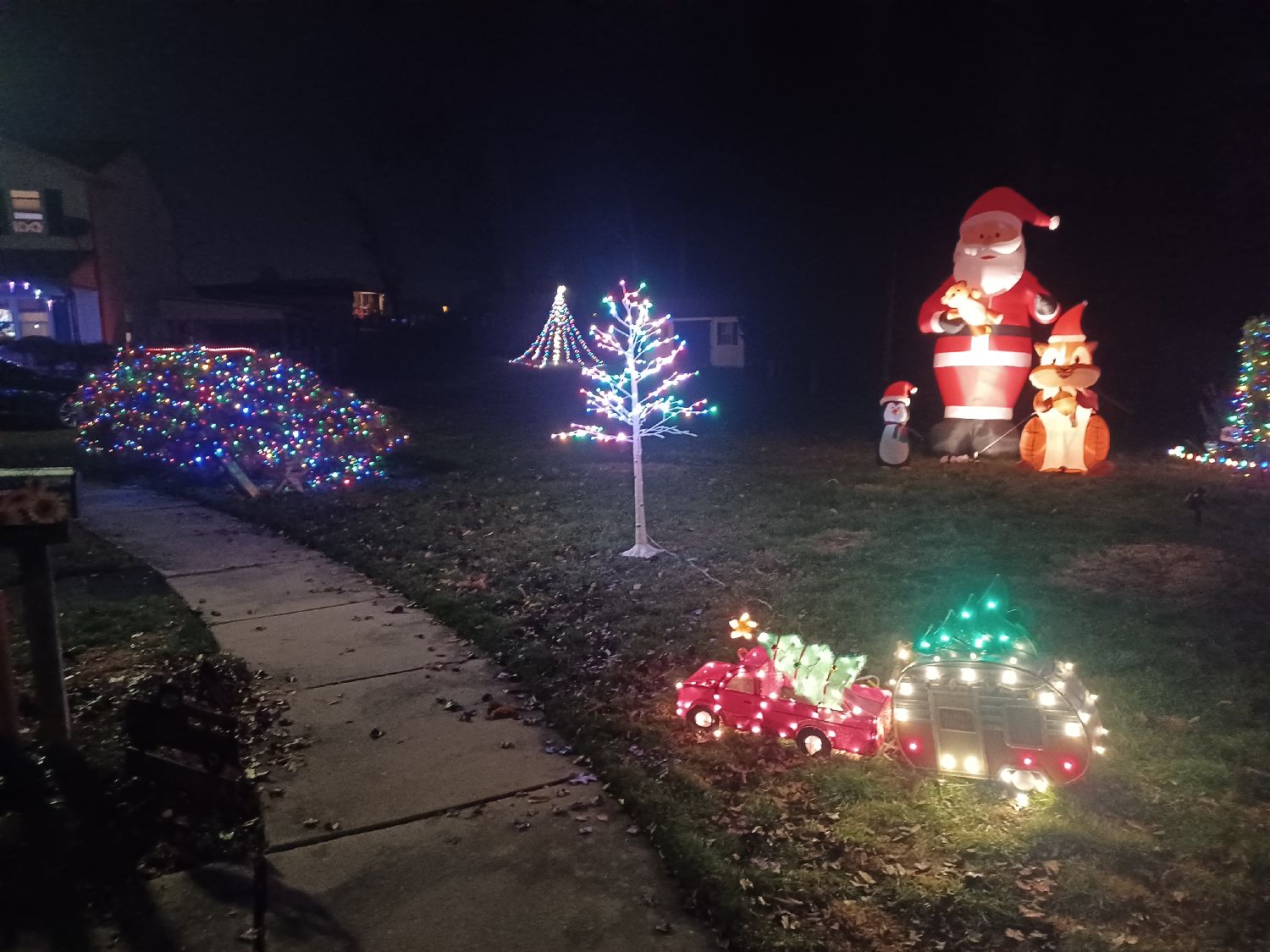 Christmas on Canvasback, Christmas lights in Birdsboro, PA (photo 3)