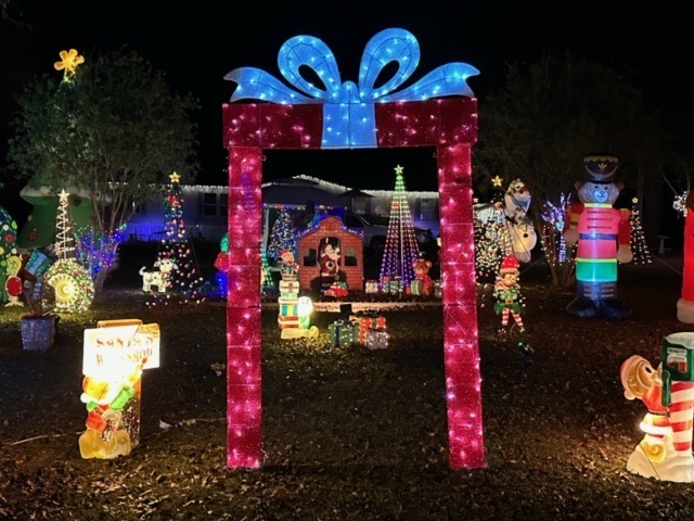 Lamb Family displays., Christmas lights in Coolidge, GA (photo 1)