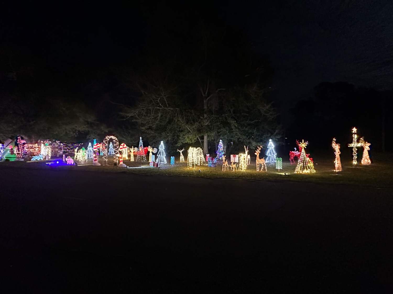 Lamb Family displays., Christmas lights in Coolidge, GA (photo 2)