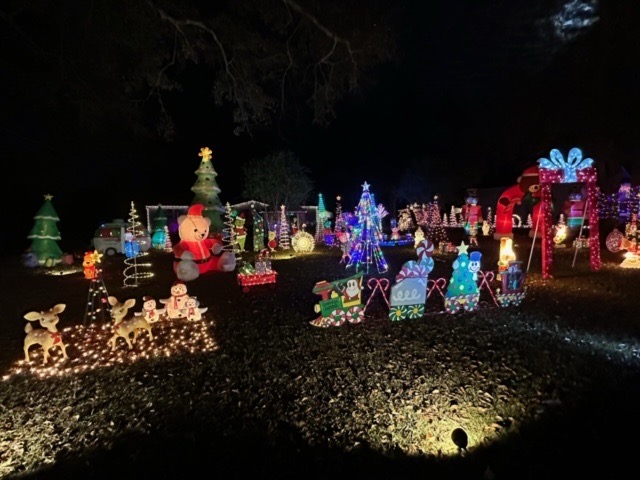 Lamb Family displays., Christmas lights in Coolidge, GA (photo 5)