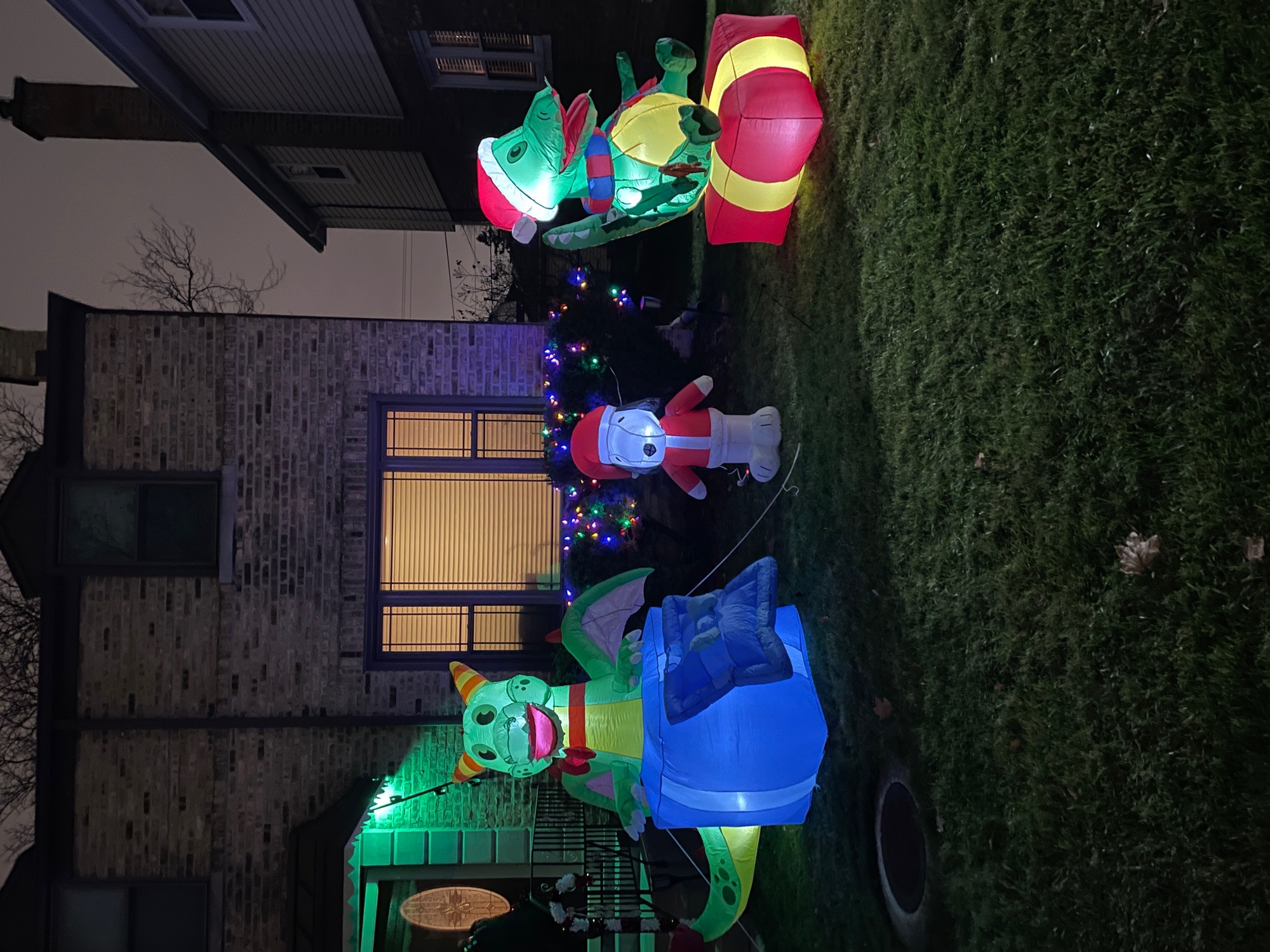 The gift of giving, Christmas lights in River Grove, IL (photo 1)
