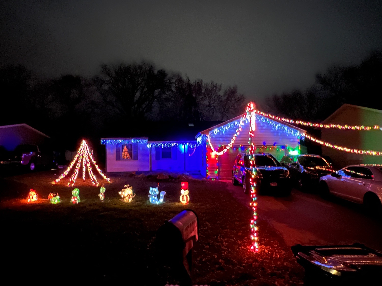 Small set up, Christmas lights in McHenry, IL (photo 1)