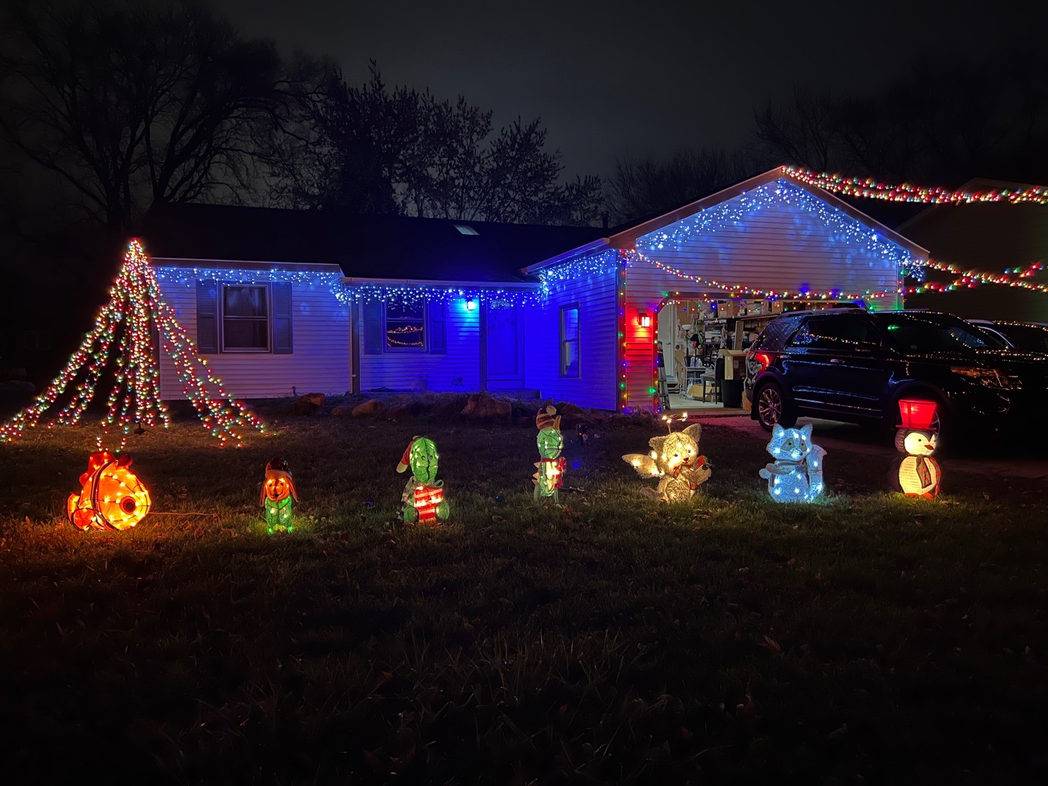 Small set up, Christmas lights in McHenry, IL (photo 2)