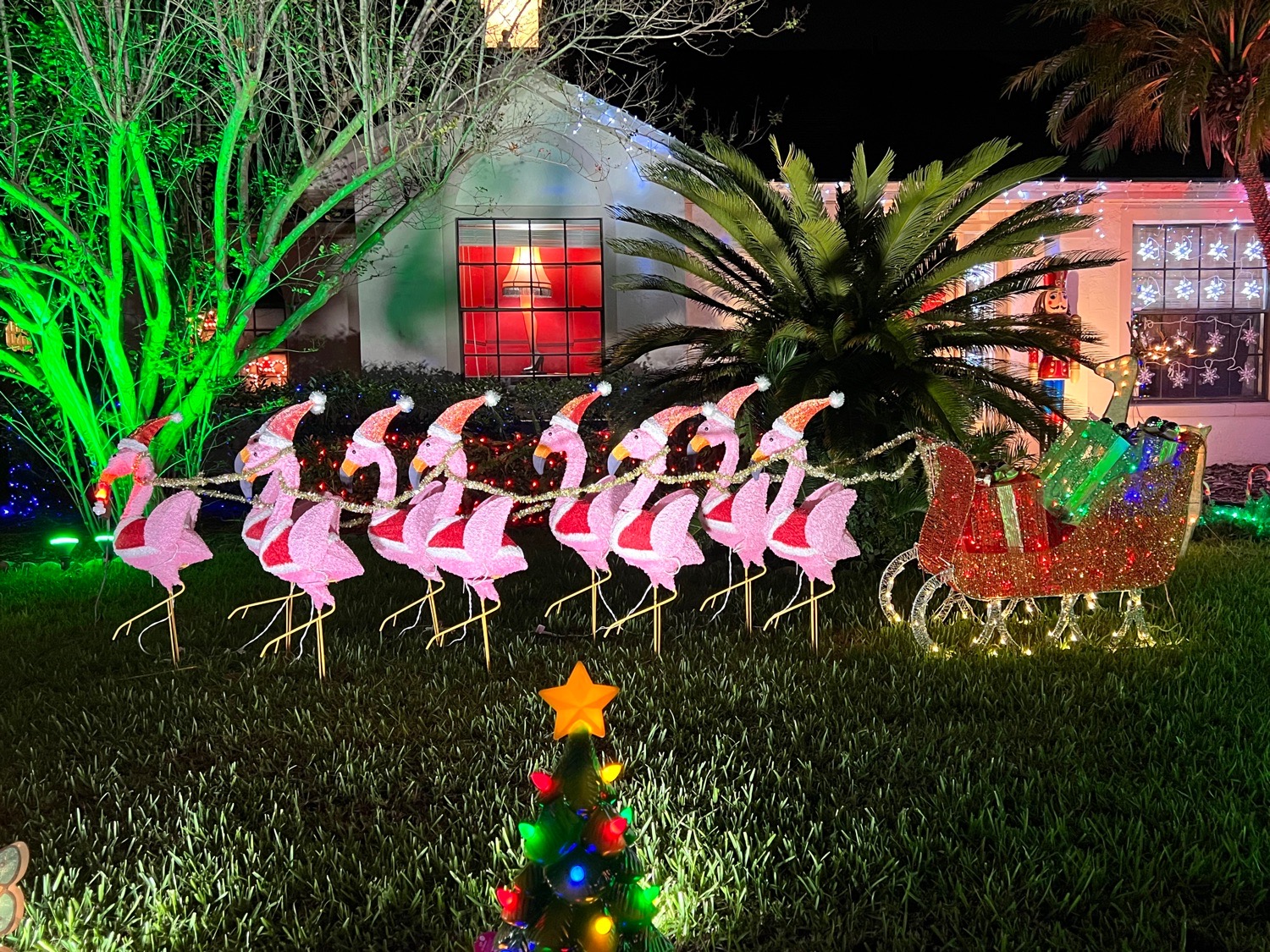 The best house in Eagles Landing, Christmas lights in Orlando, FL (photo 1)