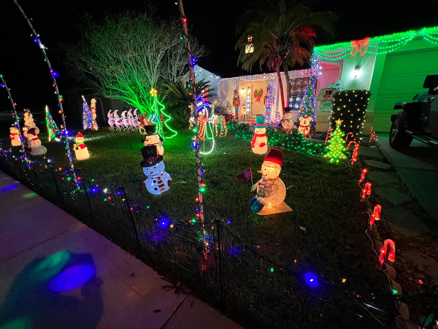 The best house in Eagles Landing, Christmas lights in Orlando, FL (photo 2)