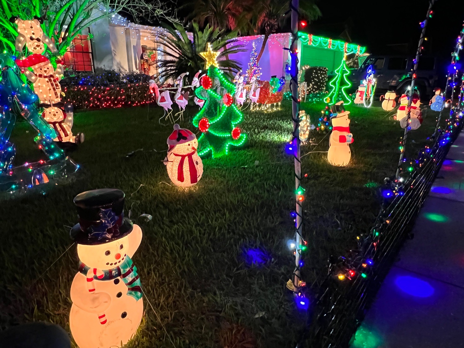 The best house in Eagles Landing, Christmas lights in Orlando, FL (photo 3)