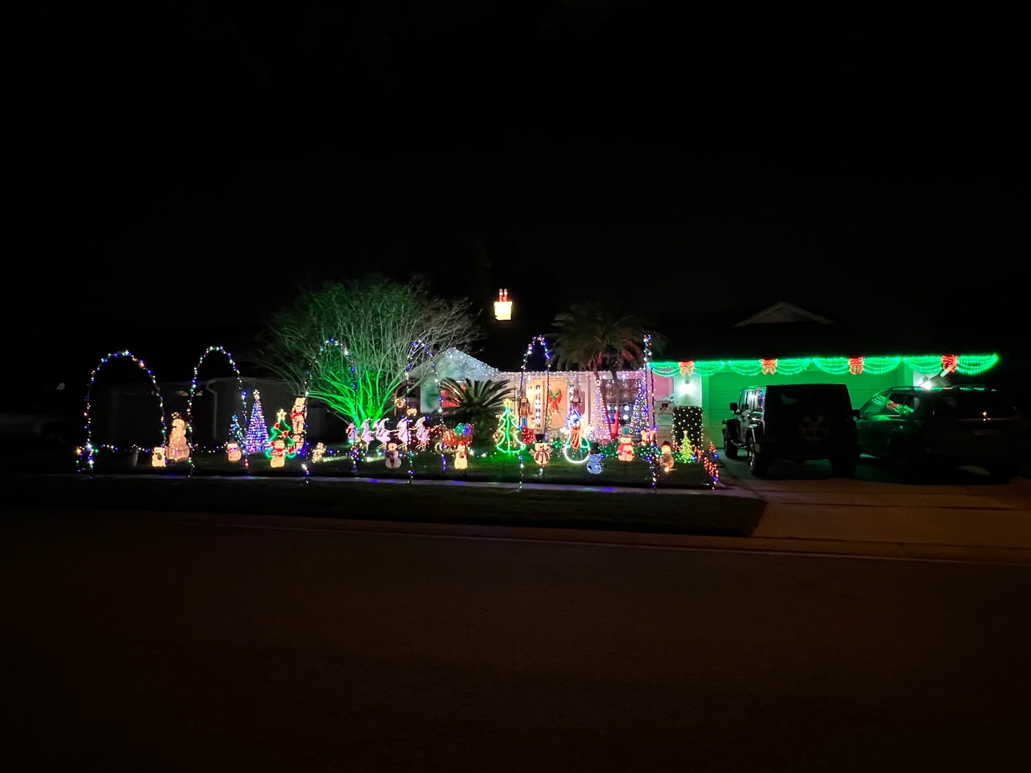 The best house in Eagles Landing, Christmas lights in Orlando, FL (photo 4)