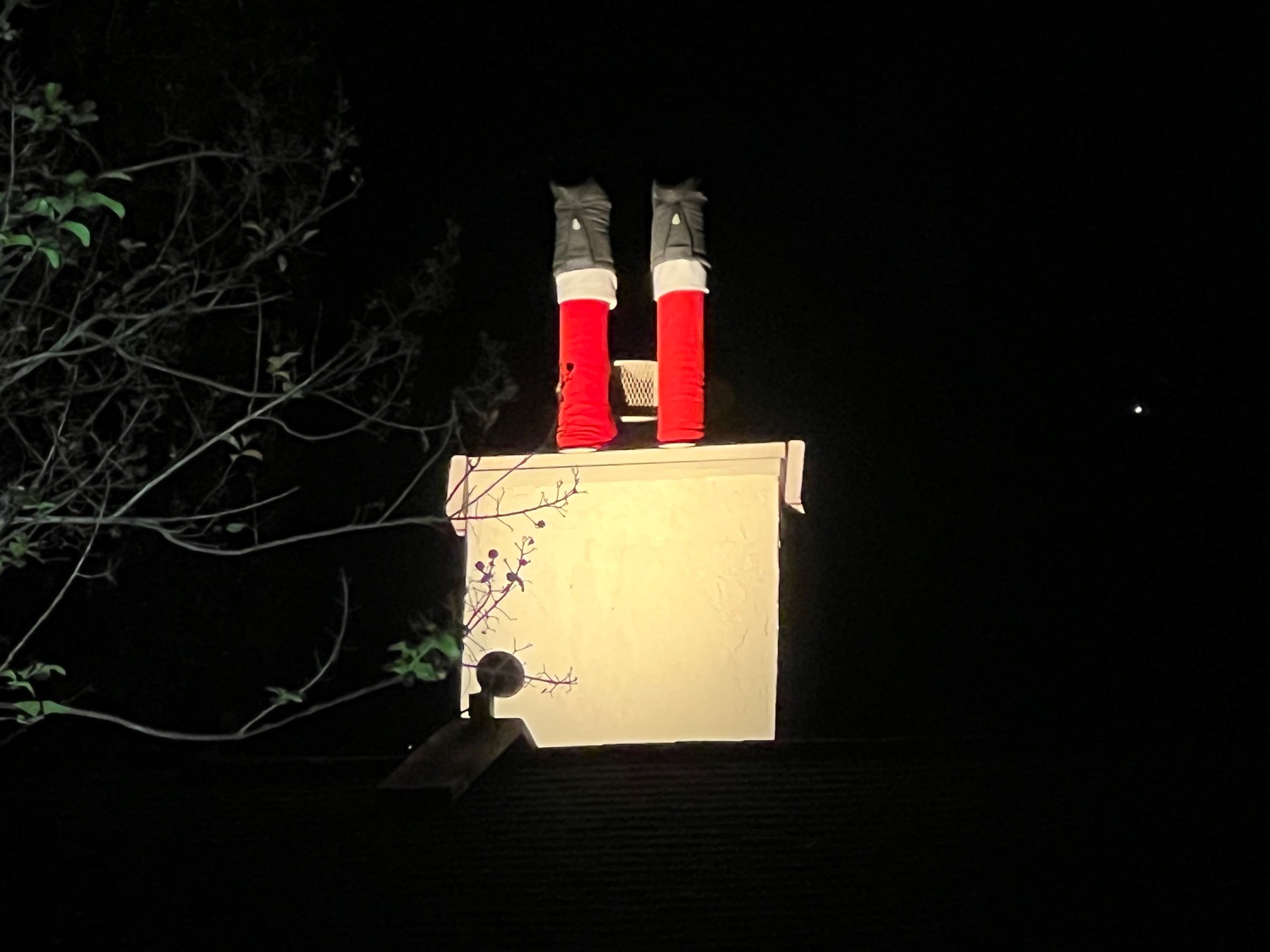 The best house in Eagles Landing, Christmas lights in Orlando, FL (photo 5)