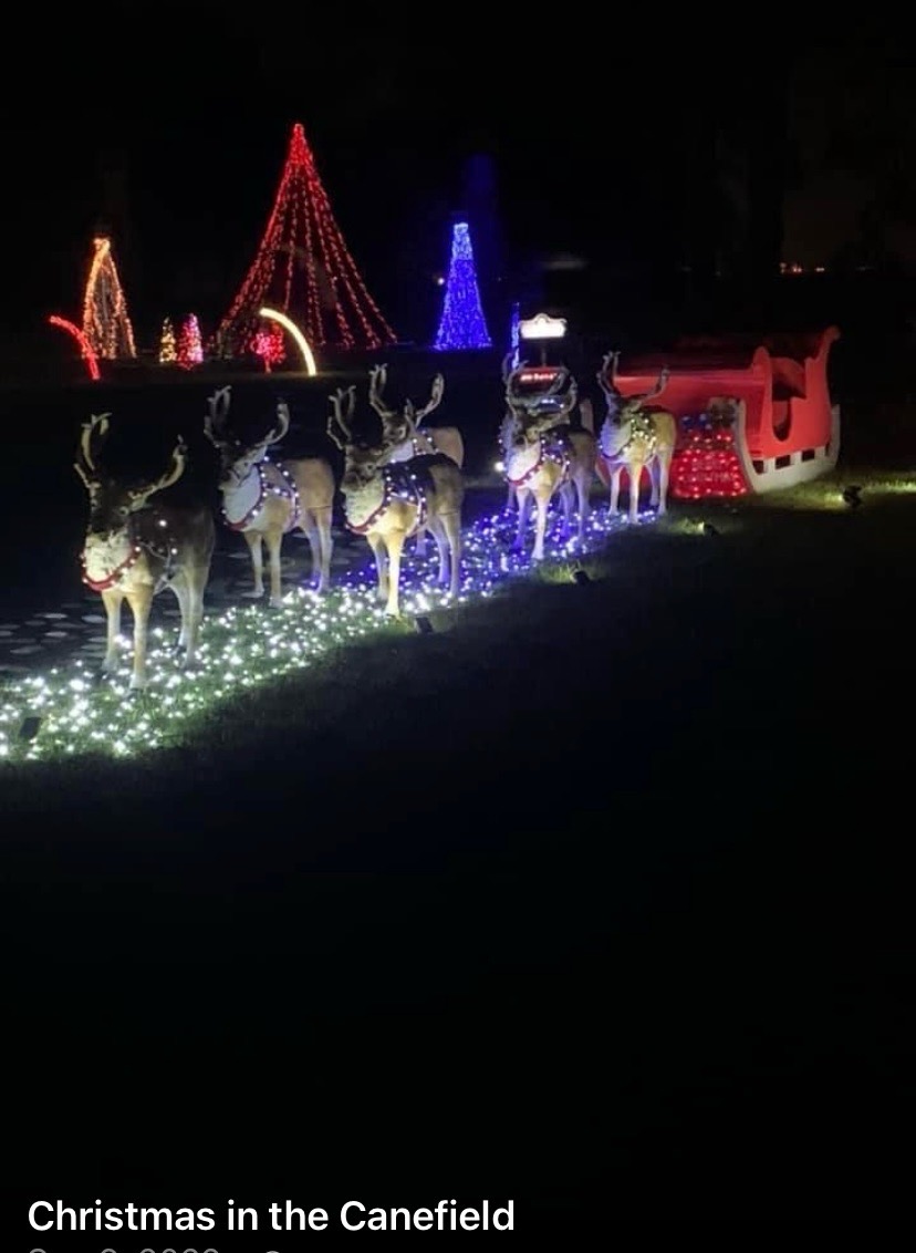 Christmas in the Canefield, Christmas lights in Jeanerette, LA (photo 1)