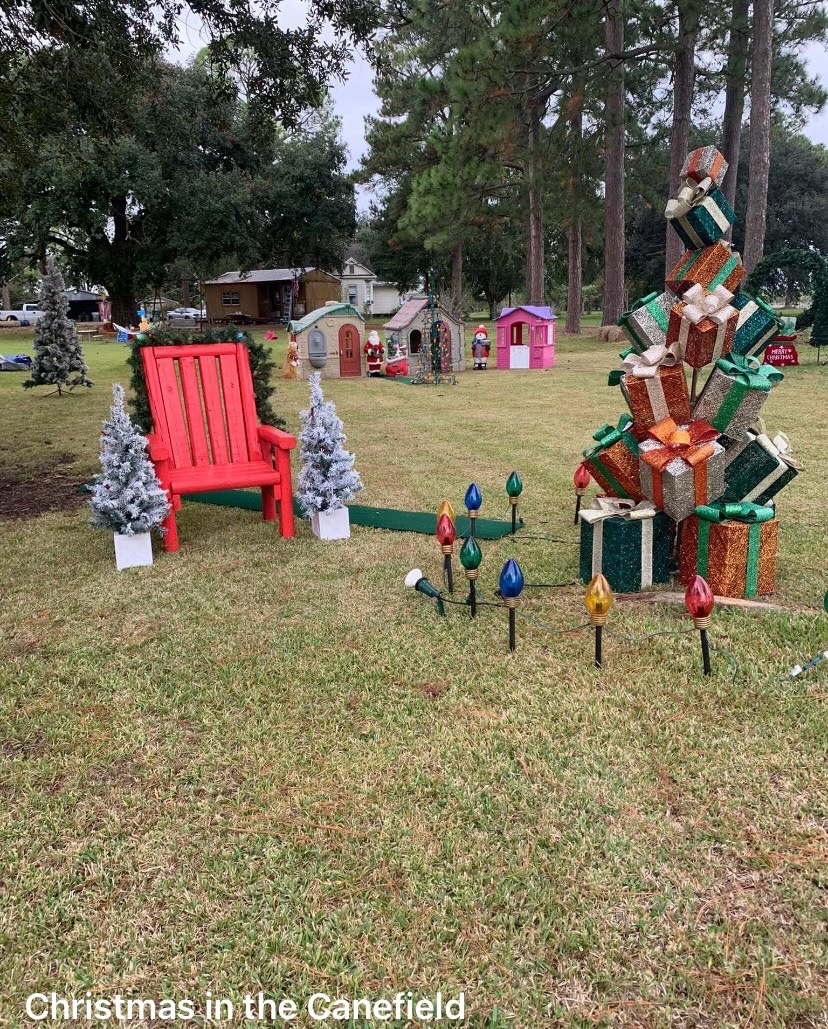 Christmas in the Canefield, Christmas lights in Jeanerette, LA (photo 3)