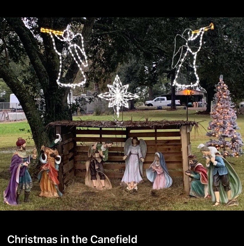 Christmas in the Canefield, Christmas lights in Jeanerette, LA (photo 4)