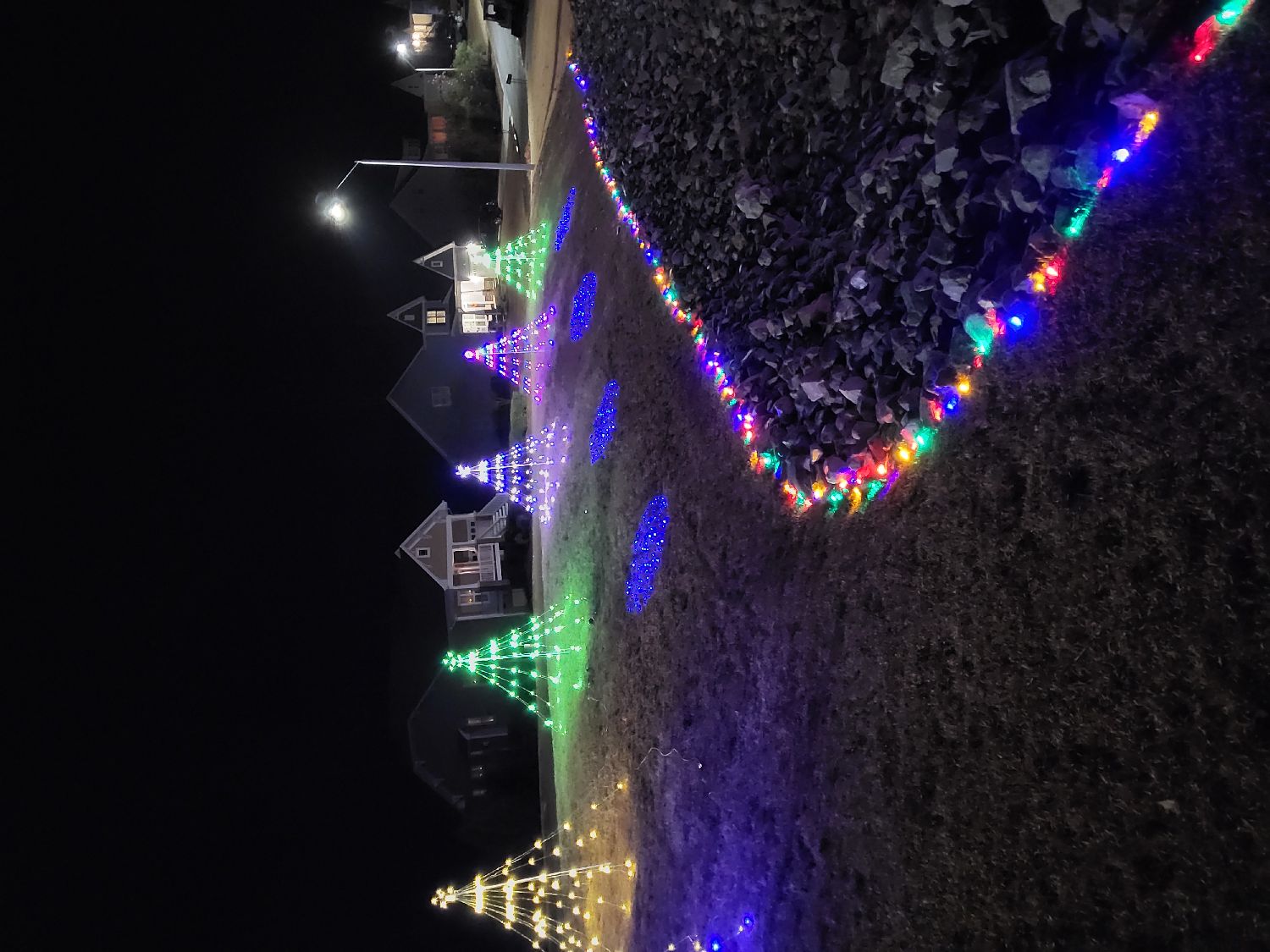 Merry Christmas from the Roberts', Christmas lights in Sanford, NC (photo 2)