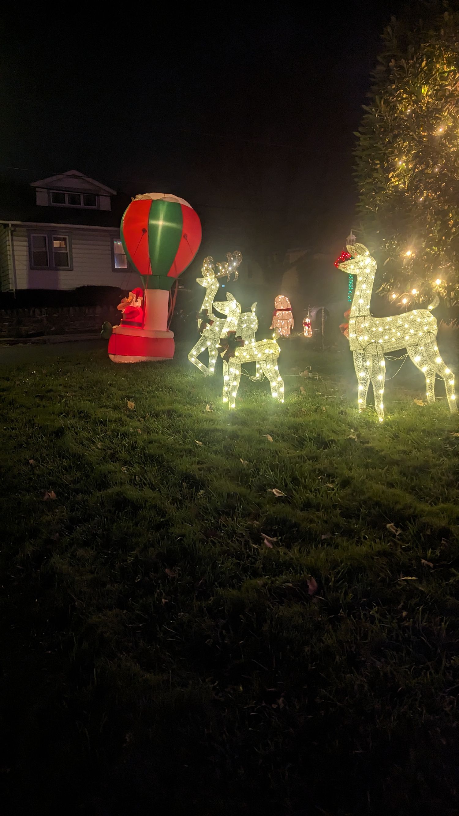 Urban Family Christmas Display, Christmas lights in Abington, PA (photo 3)