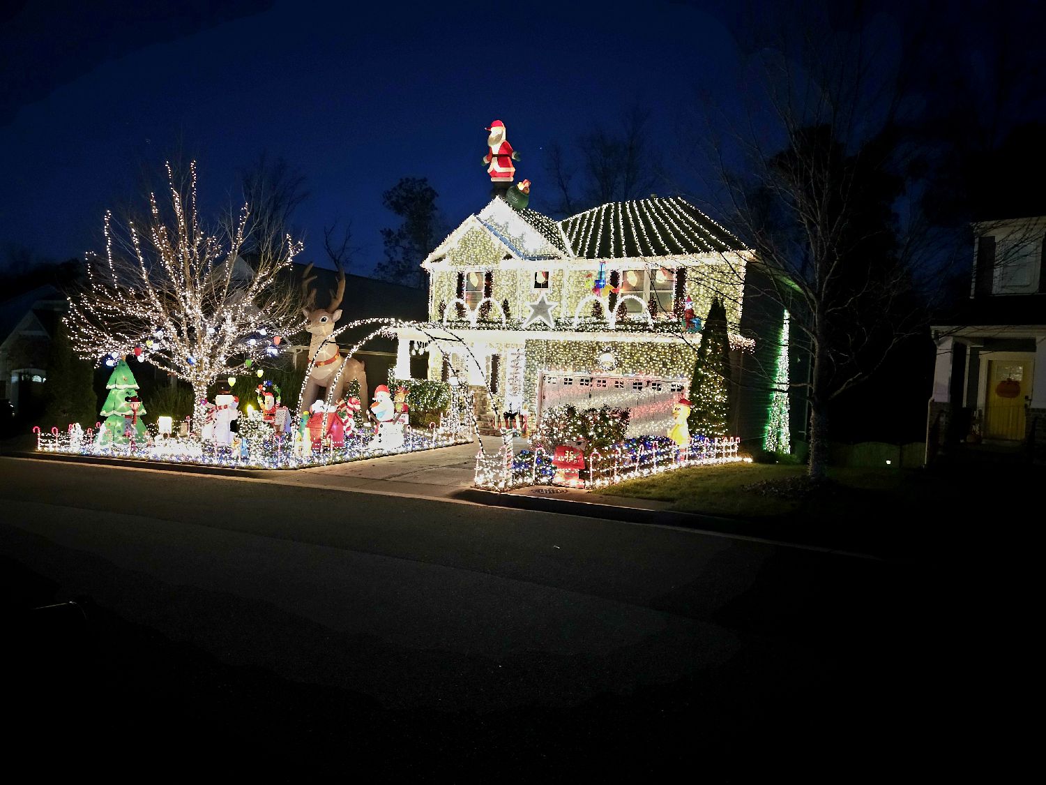Bottoms family lights, Christmas lights in Moseley, VA (photo 1)