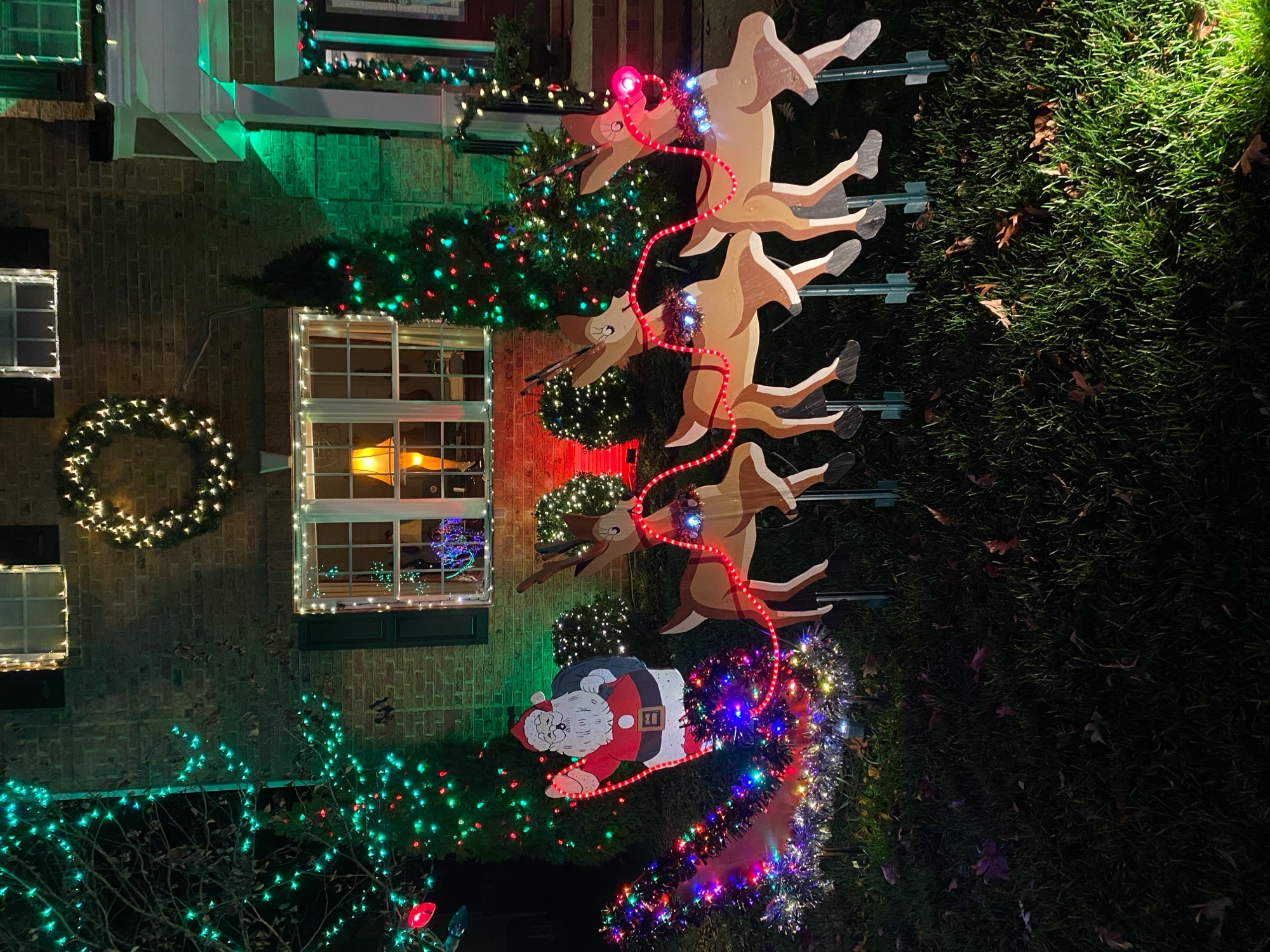 Nelson Christmas House, Christmas lights in Henrico, VA (photo 4)