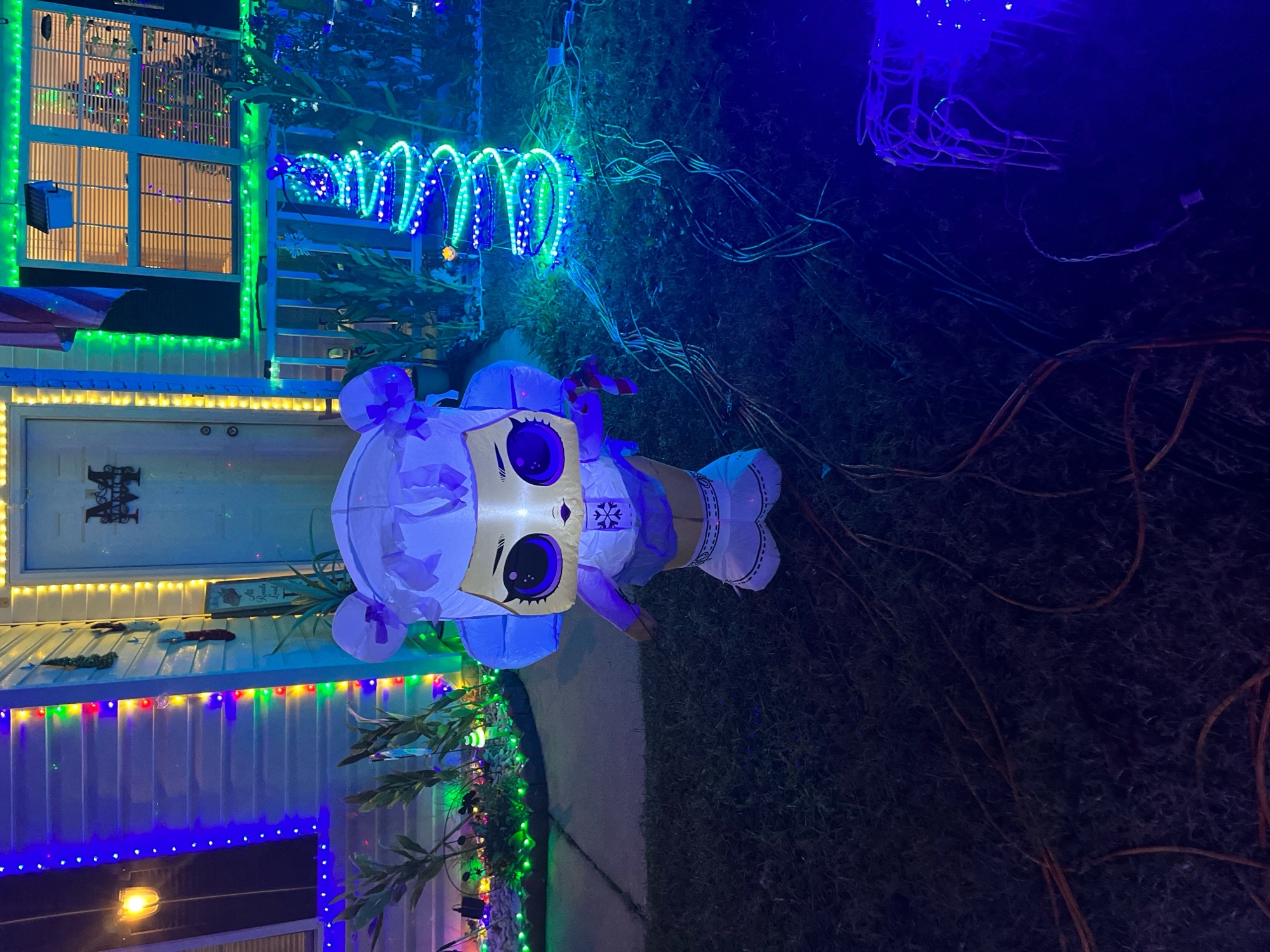 Lights, Christmas lights in Warner Robins, GA (photo 1)