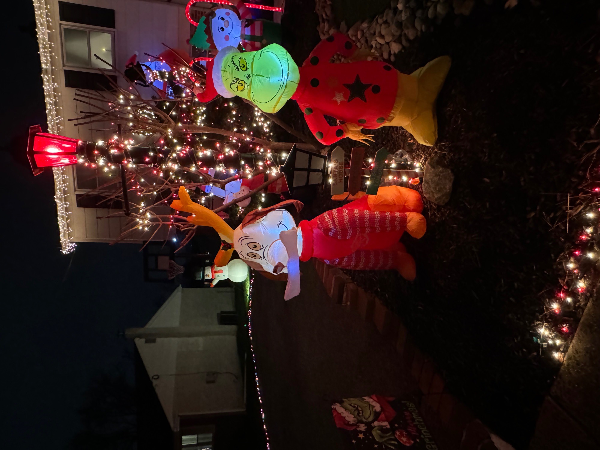 Osborne Christmas House, Christmas lights in Plymouth Meeting, PA (photo 3)