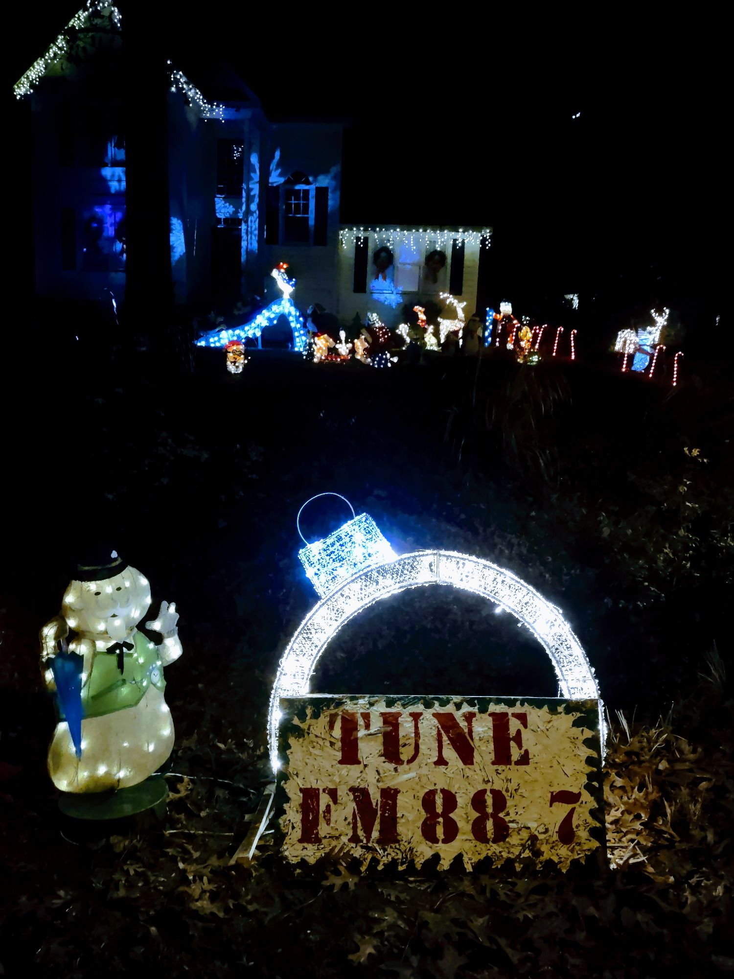 Torockio Lights, Christmas lights in Raleigh, NC (photo 3)