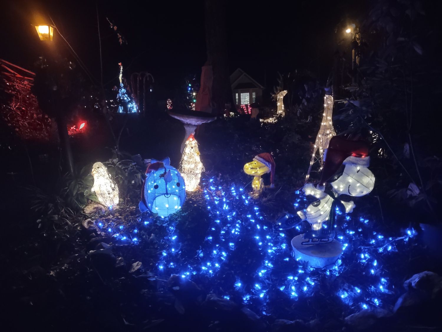 Torockio Lights, Christmas lights in Raleigh, NC (photo 4)