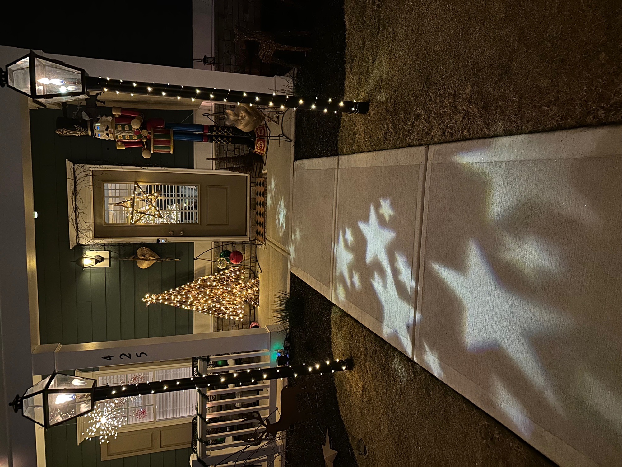 Terrain Lane, Christmas lights in Locust, NC (photo 2)