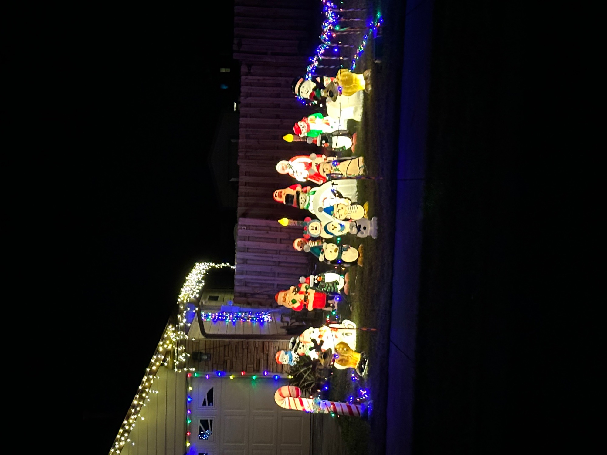 The Modi Family, Christmas lights in Newberry, FL (photo 2)