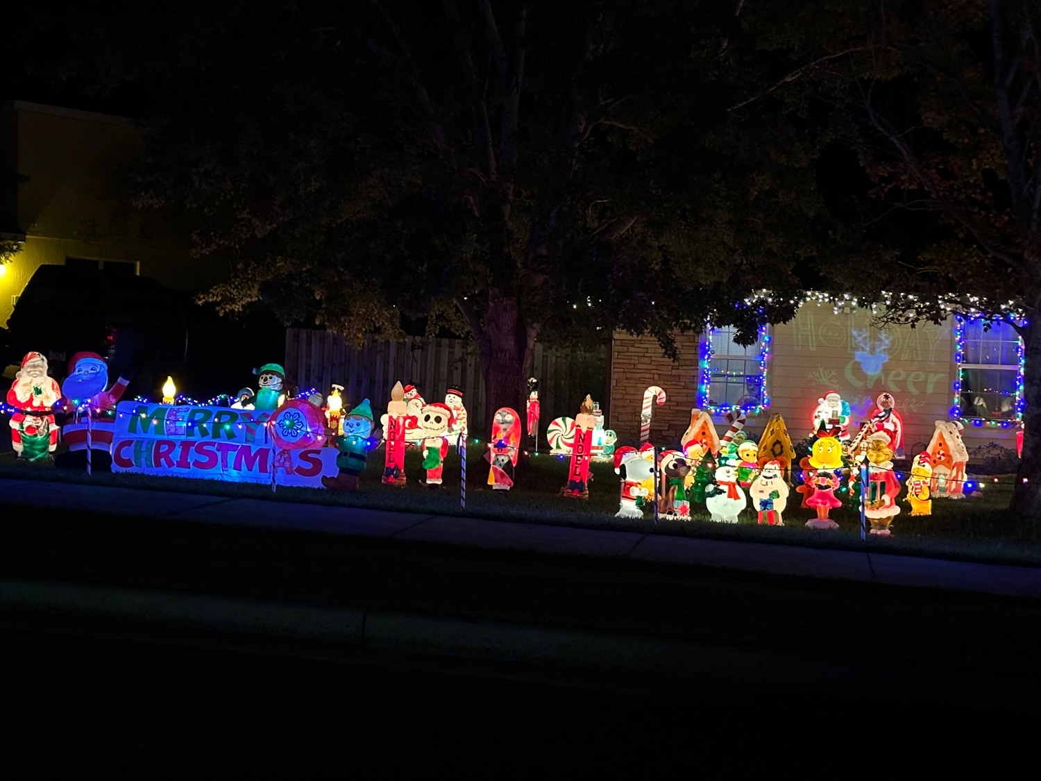The Modi Family, Christmas lights in Newberry, FL (photo 4)