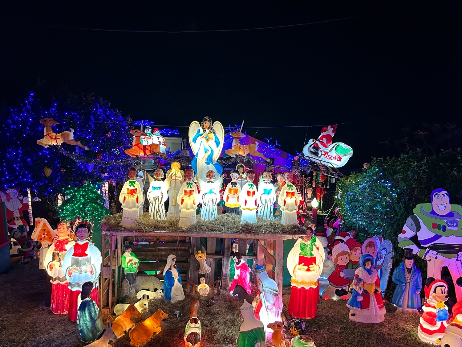Snow House, Christmas lights in Jupiter, FL (photo 1)