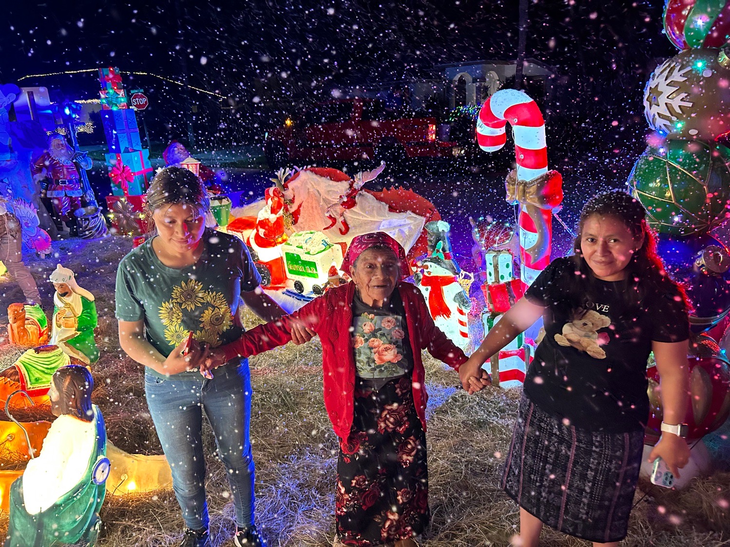 Snow House, Christmas lights in Jupiter, FL (photo 2)