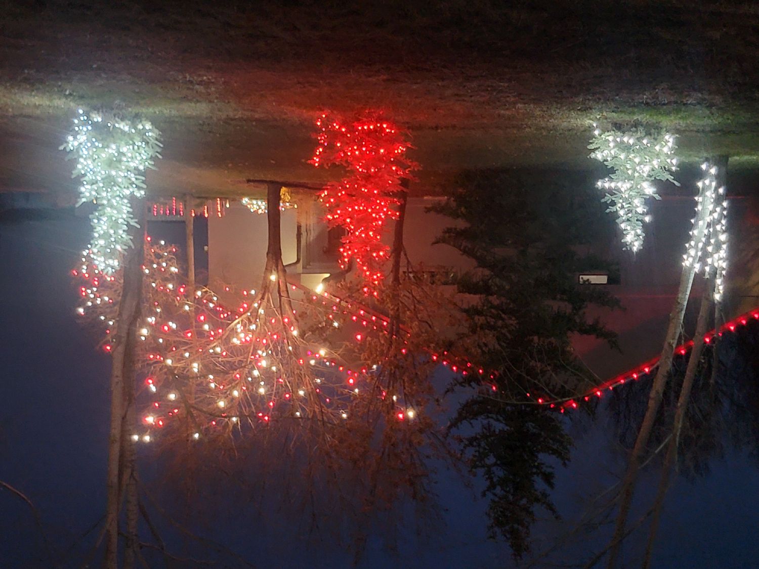 Red and white lights, Christmas lights in Fort Collins, CO (photo 1)