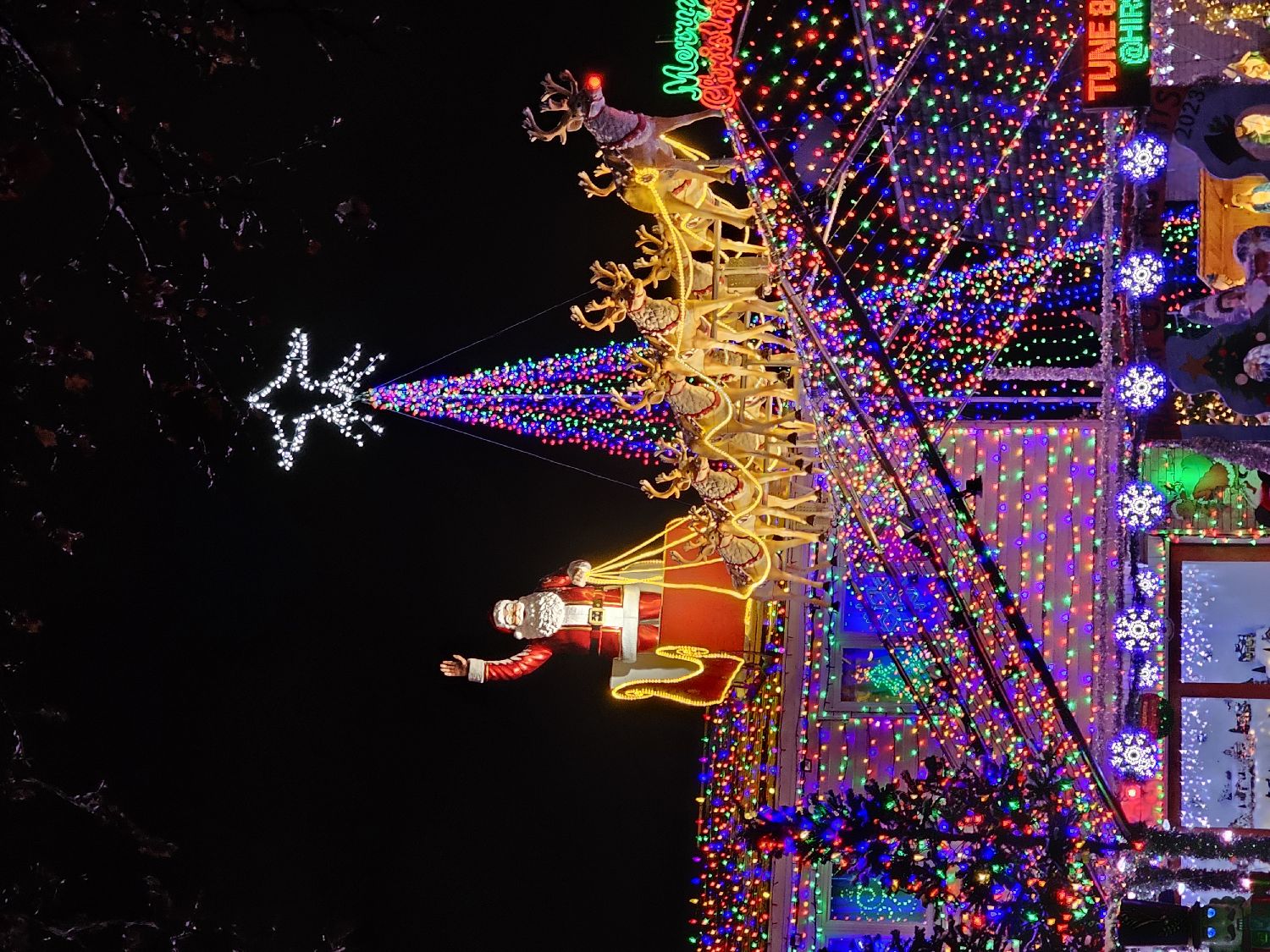 HirschChristmasLights, Christmas lights in Tinley Park, IL (photo 1)